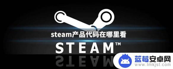 怎么看steam编码 steam产品代码在哪里查看