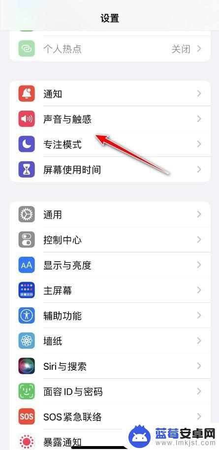 iphone14怎么单独调媒体音量 iPhone系统音量调节和媒体音量分开设置方法