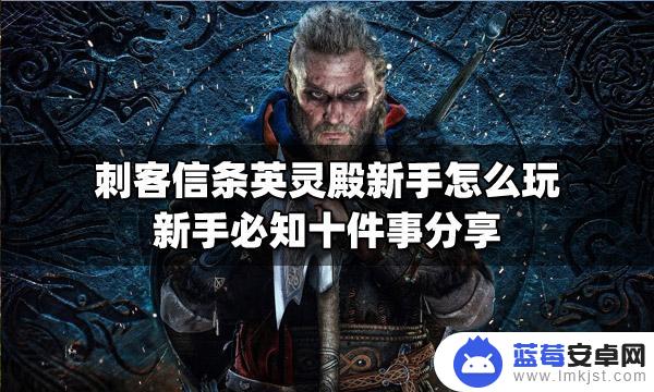 steam小游戏升级技能 刺客信条英灵殿新手技巧分享