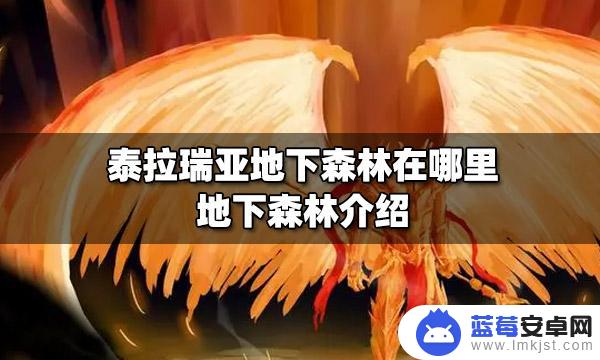 泰拉瑞亚森林是指哪里 泰拉瑞亚地下森林怎么建造