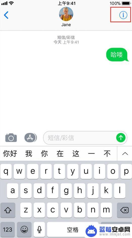 不想看到手机信息怎么设置 iPhone 如何关闭锁屏预览短信