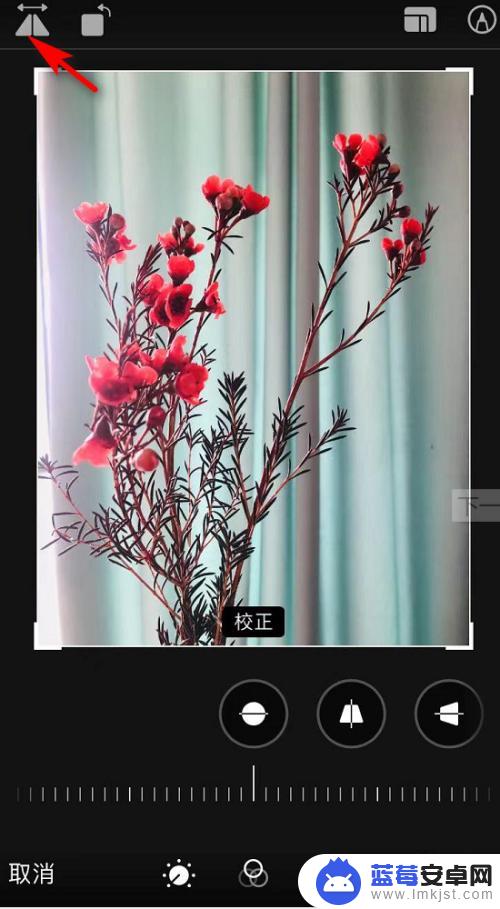 苹果手机怎么镜像对称 苹果手机照片对称翻转方法
