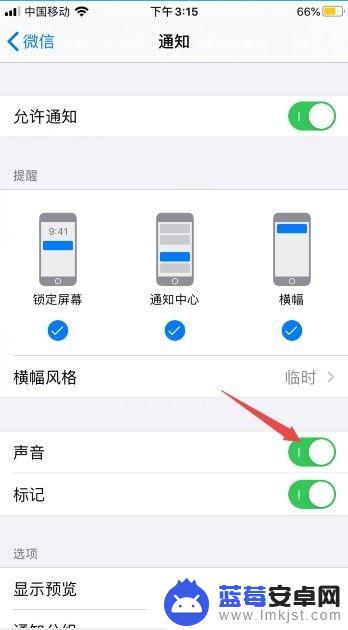 苹果手机玩游戏没声音怎么办 iPhone11游戏没有声音怎么修复