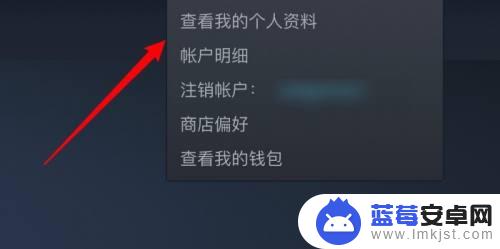 steam游戏时间怎么隐藏 如何在Steam上隐藏游戏时长