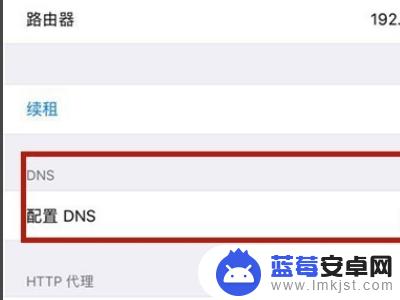 苹果手机dns在哪改 苹果手机DNS设置方法