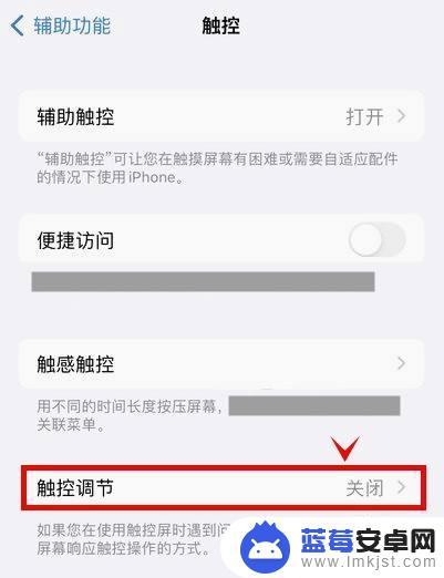 苹果手机13触控怎么设置 在哪里可以找到iPhone 13小圆点设置选项