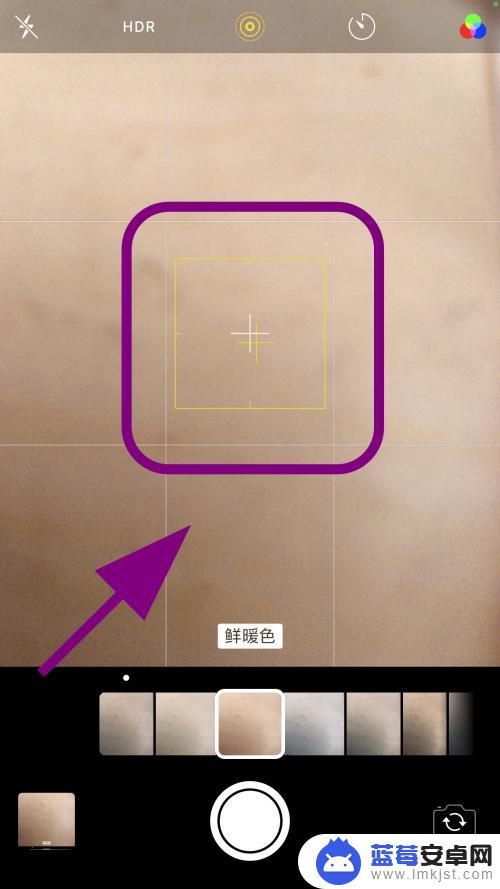 苹果手机拍照怎么设置滤镜 苹果手机相机美颜功能怎么开启
