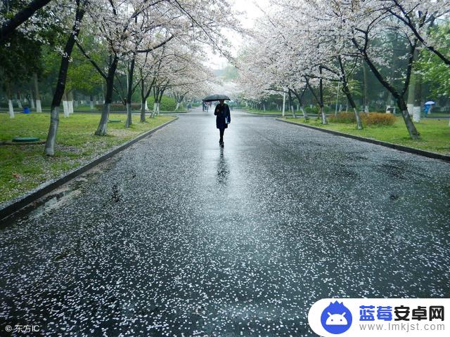 小丑雨中跳舞抖音(小丑雨中跳舞抖音视频)