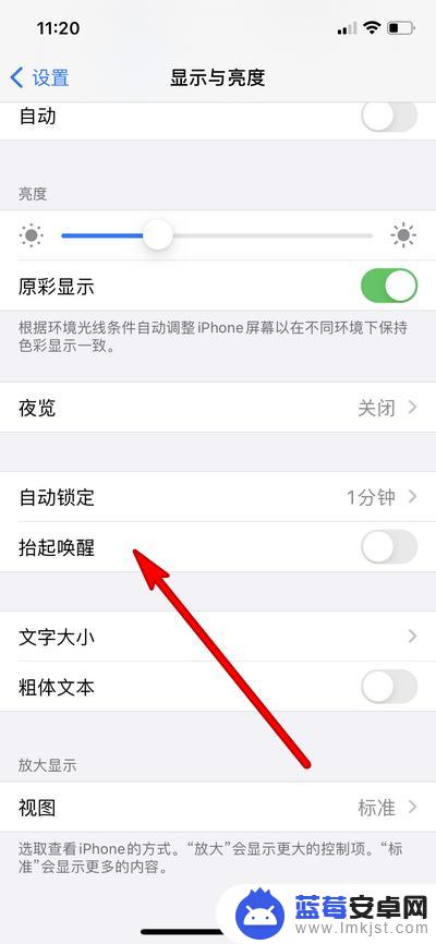 苹果12拿起手机屏幕不亮 iPhone12拿起手机自动亮屏怎么开启