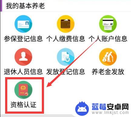 退休待遇手机认证如何操作 养老认证申请指南