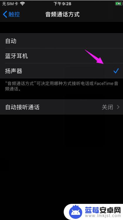 语音通话怎么设置苹果手机 苹果手机如何设置音频通话方式