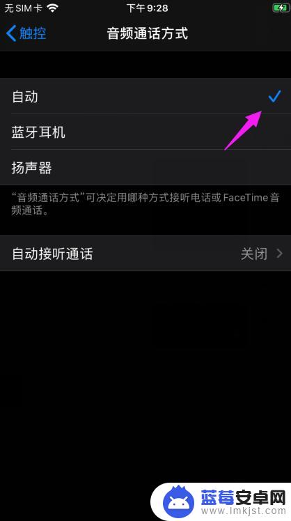 语音通话怎么设置苹果手机 苹果手机如何设置音频通话方式
