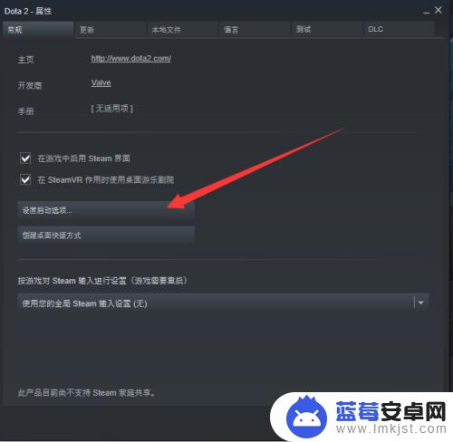 Steam单手国服玩转最新热门游戏，畅享顶级单手操作体验