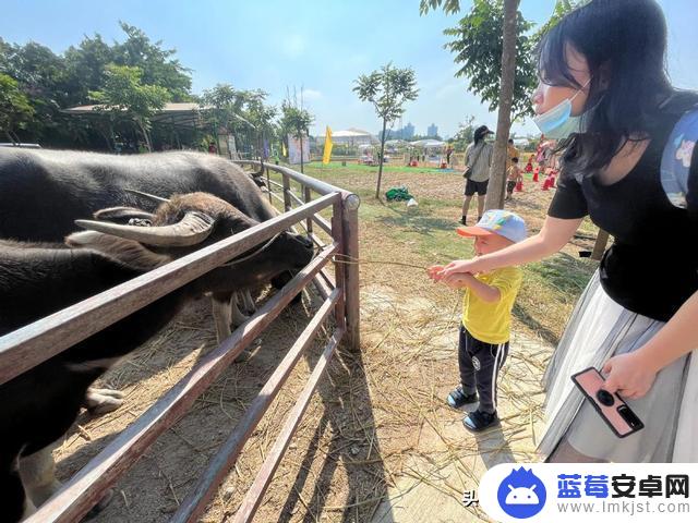 东莞沙田抖音打卡地方(东莞沙田抖音打卡地方有哪些)