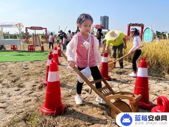 东莞沙田抖音打卡地方(东莞沙田抖音打卡地方有哪些)