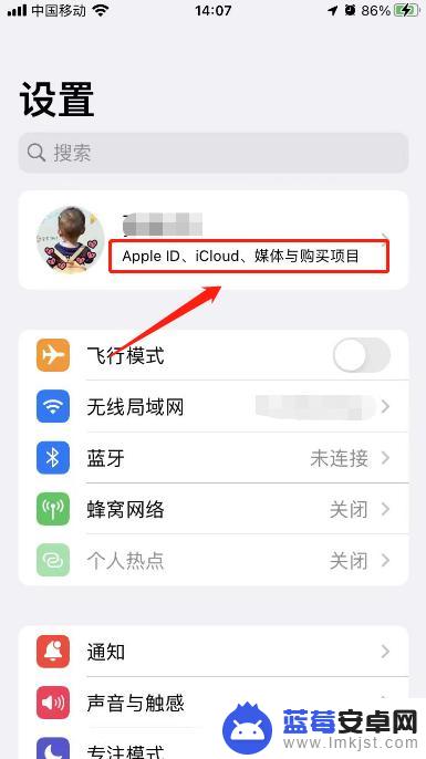 苹果手机的电子邮箱在哪里查 Apple ID邮箱在哪里设置