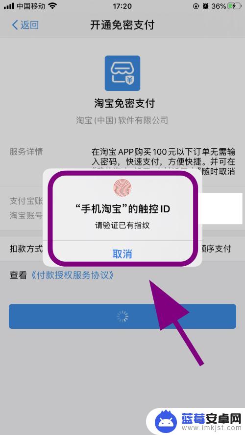 苹果手机淘宝付款怎么最快 淘宝如何开通小额免密快速付款