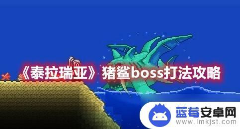 泰拉瑞亚怎么盾反猪鲨 泰拉瑞亚猪鲨boss打法技巧