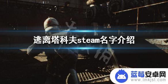 逃离塔科夫steam里叫什么 为什么在steam上搜索不到《逃离塔科夫》