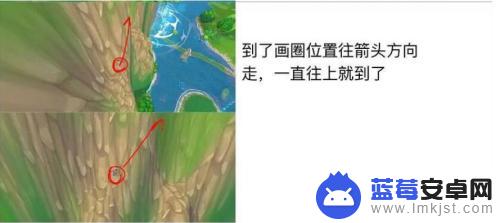 摩尔庄园上山 摩尔庄园浆果丛林上山技巧