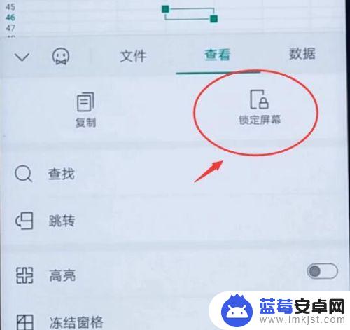 手机上如何横着看文件 安卓手机WPS表格怎么横向展示文档内容