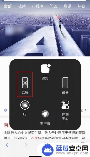 苹果手机怎么设置整页截屏 苹果手机iPhone如何截取整个网页长图