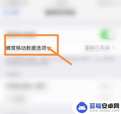 苹果手机怎么让他显示网速 如何在苹果手机上显示实时网速