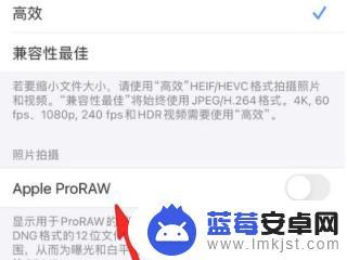 苹果手机raw在哪里打开 iPhone raw开启教程