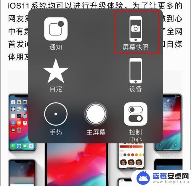 苹果手机xmax怎么截图 iPhone XS Max快速截图的方法有哪些