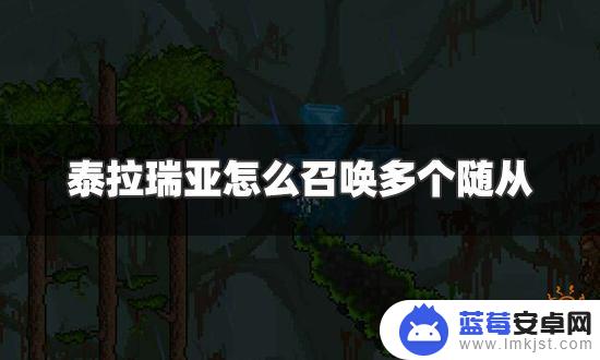 泰拉瑞亚召唤物怎么到9个 泰拉瑞亚多个随从同时召唤方法