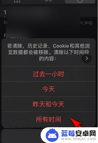 苹果手机浏览器记录怎么彻底删除 苹果手机Safari浏览器如何清除历史记录