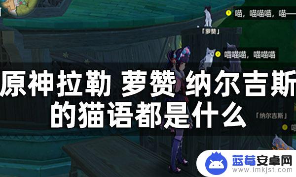 原神与猫对话攻略 原神须弥找小猫每日任务攻略