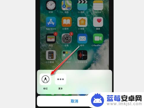 手机图片里如何编辑箭头 iPhone怎么在图片上画箭头