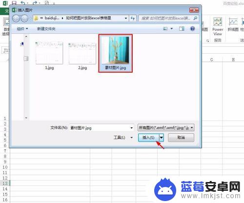 怎样把照片传到表格照片栏 Excel表格如何插入图片