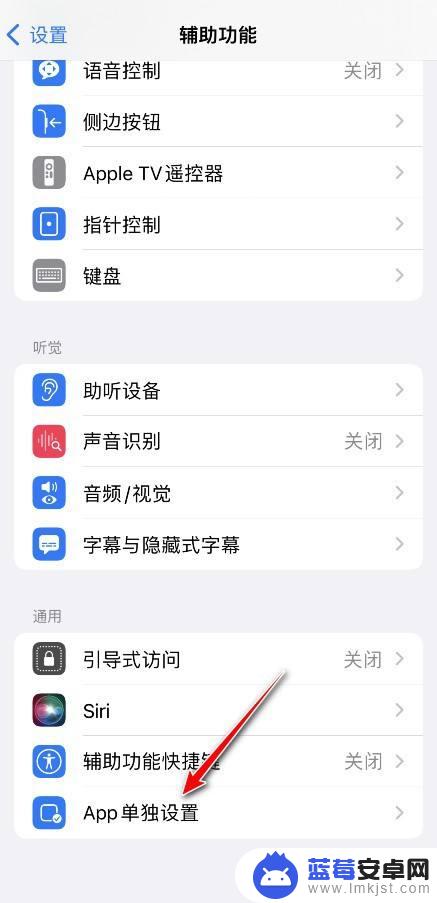 iphoneapp字体大小设置 iPhone单独设置app字体大小方法