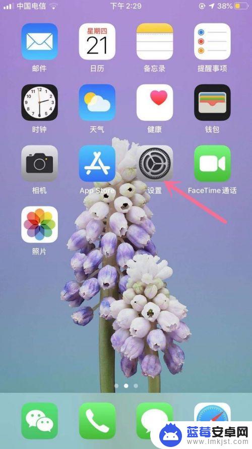 怎么看苹果手机app流量使用情况 苹果手机App流量使用查询方法