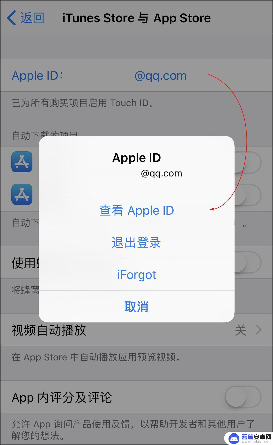 怎么查询苹果手机订阅扣费 如何查看 App Store 中的付费项目