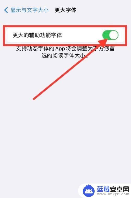 苹果手机超大字体 iPhone字体设置方法