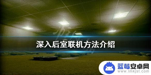 后室如何多人联机 《深入后室》联机进不去怎么办