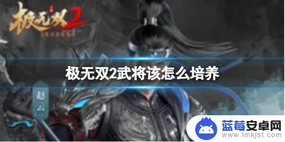 极无双2怎么提升资质 极无双2平民玩家如何培养武将