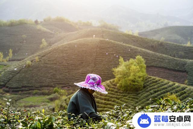 河南旅行抖音文案(河南旅游文案)