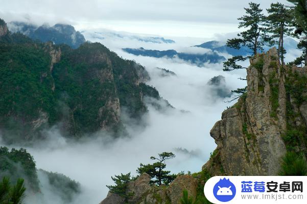 河南旅行抖音文案(河南旅游文案)