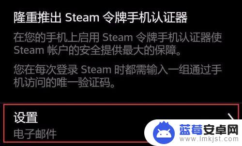 手机怎么弄令牌 Steam手机令牌开启步骤