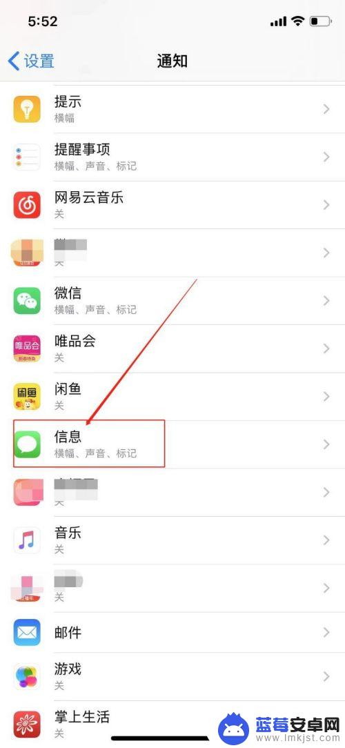 苹果手机信息怎么屏蔽内容 如何在苹果手机上隐藏短信通知详情
