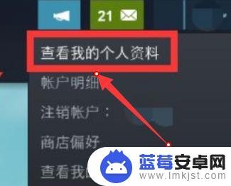 steam怎么让好友看不到我的动态 steam如何隐藏个人游戏动态