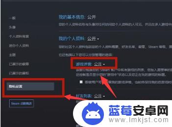 steam怎么让好友看不到我的动态 steam如何隐藏个人游戏动态