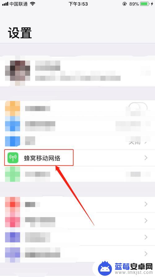 手机怎么查看每天流量多少 iPhone每日流量查询方法