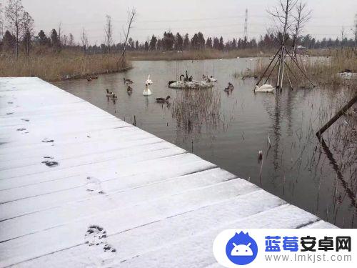 在手机上如何拍好雪景视频 雪景摄影的手机拍摄技巧分享