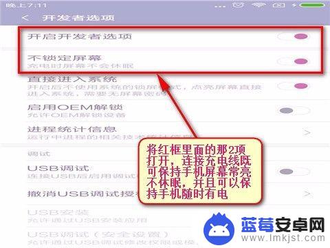 手机没有常亮功能怎么设置常亮 如何设置手机屏幕常亮