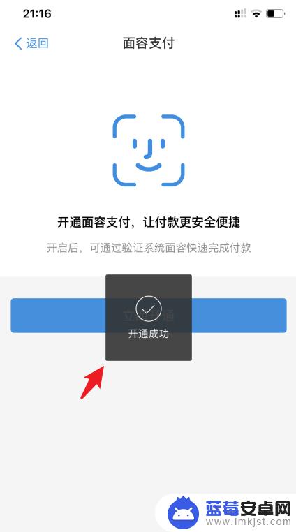 如何开通手机面部支付 支付宝面容支付在苹果手机上怎么开启